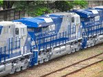 RUMO 9594
